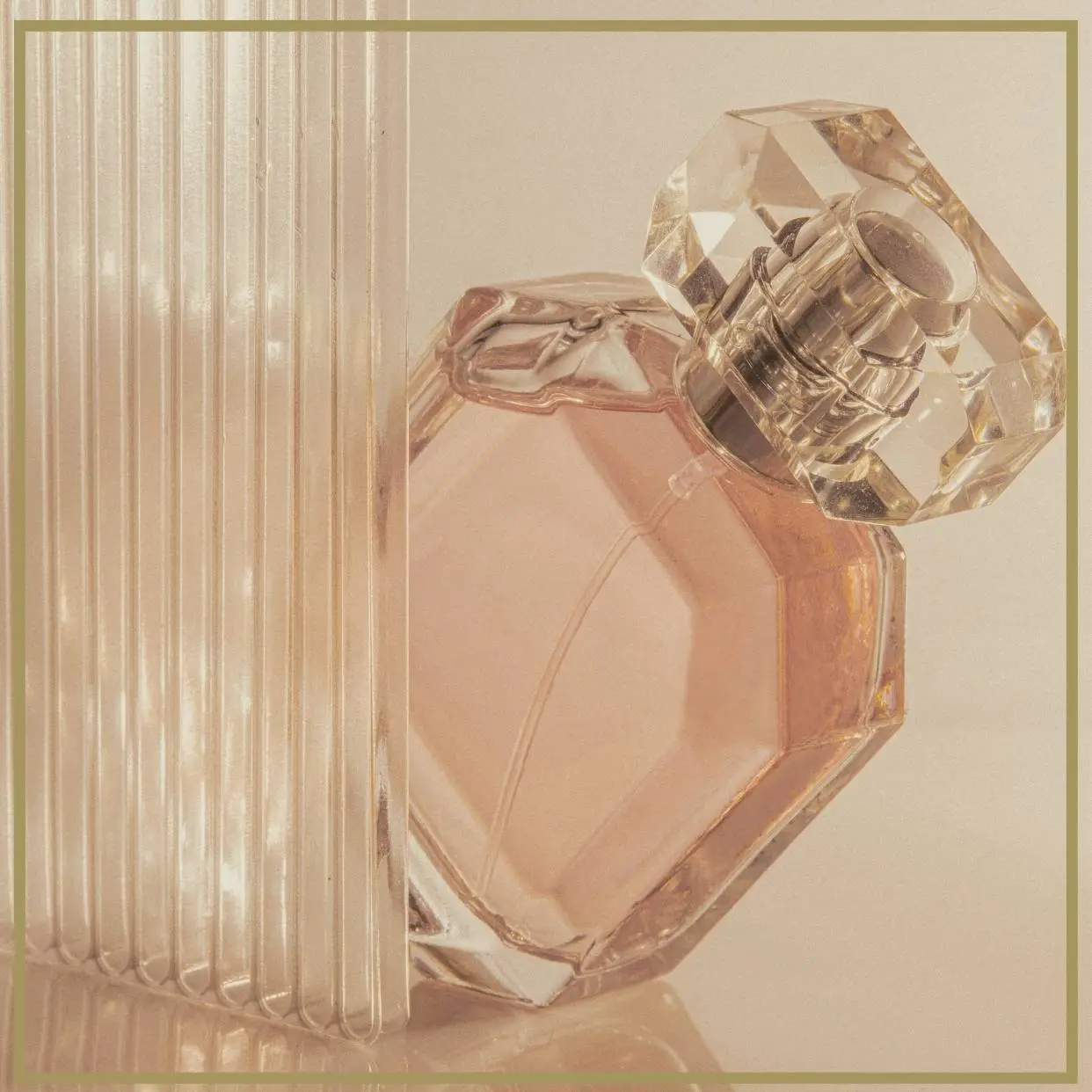 Imagen de banner