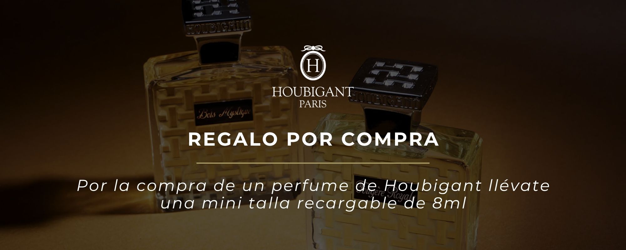 Imagen del slide