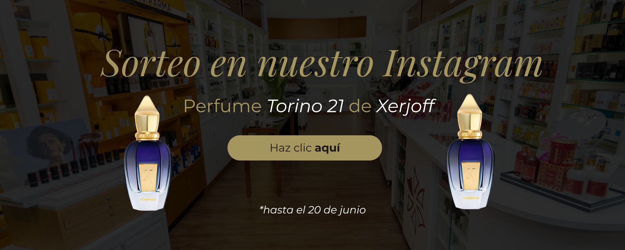 Imagen del slide