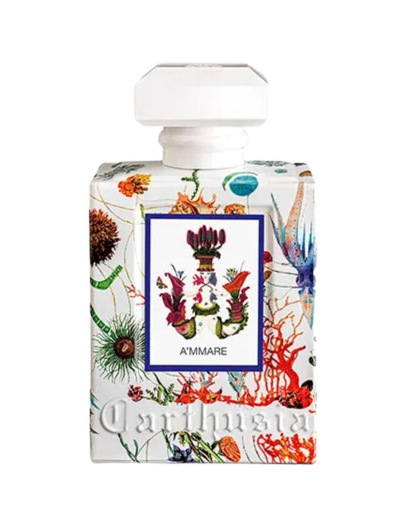 A'MMARE EDP CARTHUSIA para Hombre | Dulce Calvo